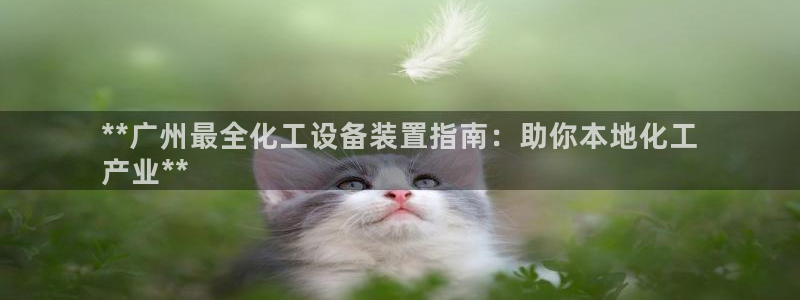 新城平台线路登录不上去了怎么回事