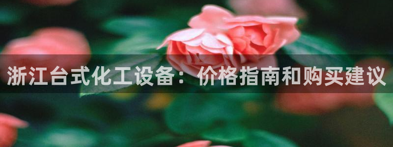 新城平台登录入口官网下载