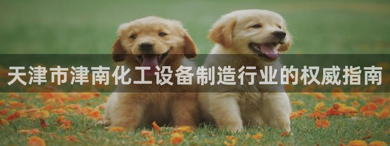 新城平台登录入口官网网址