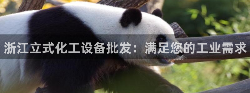 新城平台登录入口官网网址