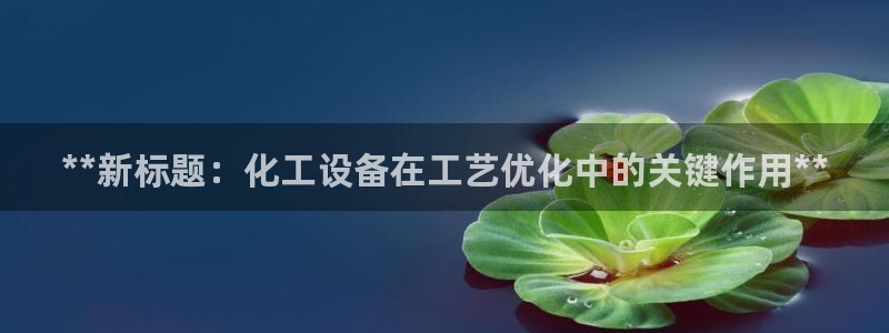 新城平台注册资金多少亿