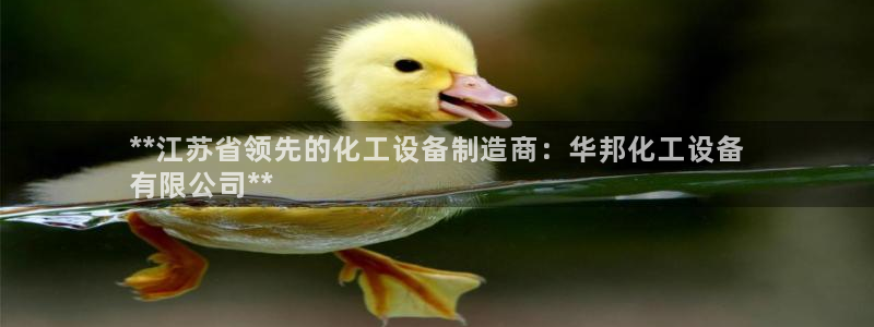 新城平台注册流程视频