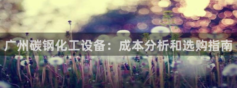 新城平台线路登录不上去怎么办呀：广州碳钢化工设备：