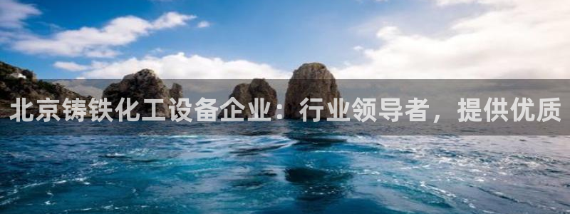 新城平台注册流程：北京铸铁化工设备企业：行业领导者