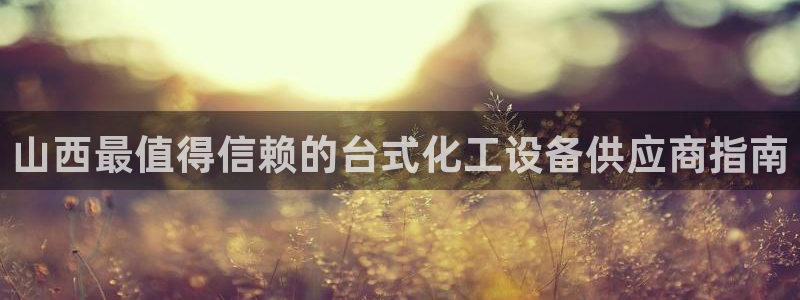 新城平台是干嘛的公司啊