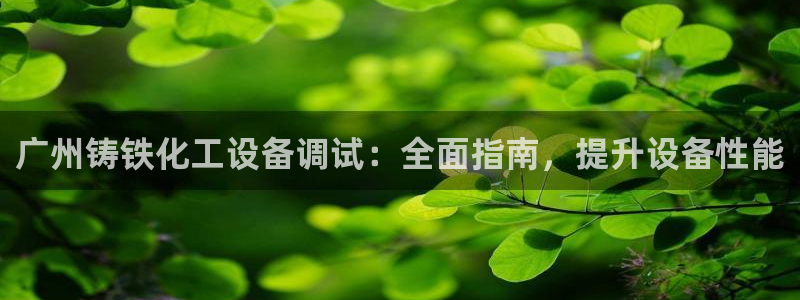 新城平台登录入口官网查询系统