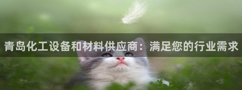 新城平台登录入口官网查询网址：青岛化工设备和材料供