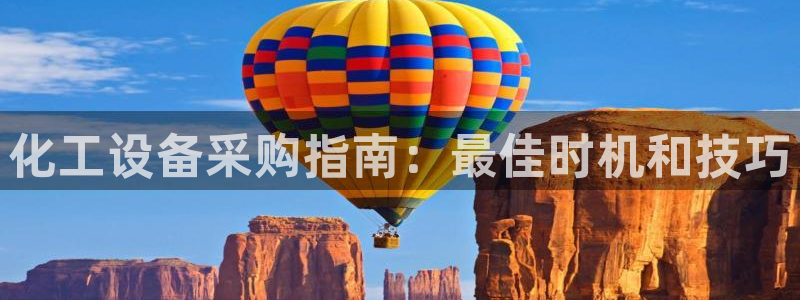 新城平台公司