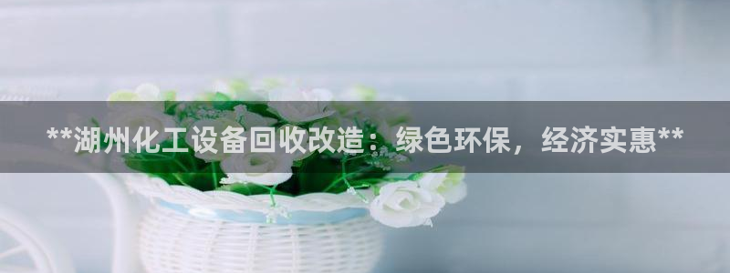新城平台注册登录地址是什么