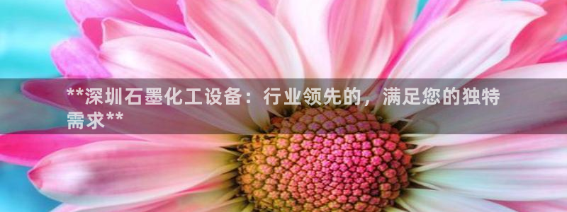 新城平台线路登录不上去怎么办呀