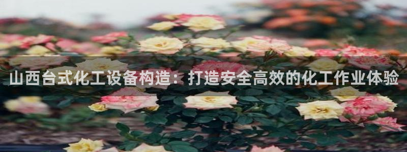 新城平台官网：山西台式化工设备构造：打造安全高效的