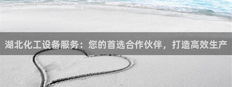 新城平台进·新城平台：湖北化工设备服务：您的首选合作伙伴，打