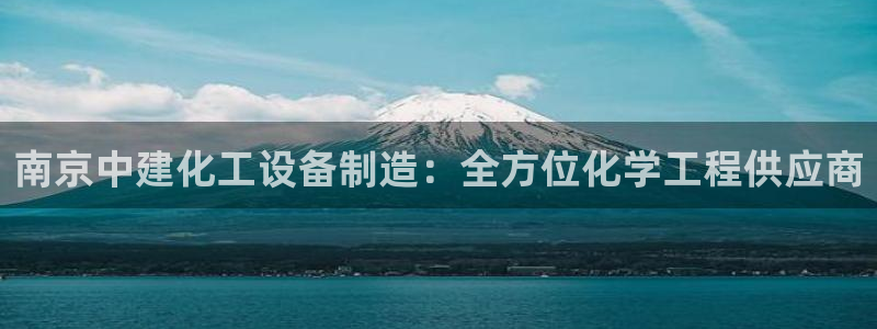 新城平台登录入口官网首页查询