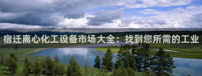 新城平台登录入口官网首页查询