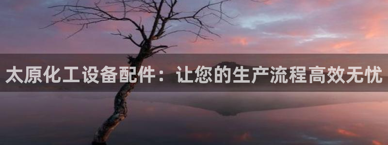 新城平台登录入口官网首页下载