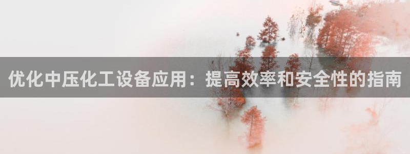 新城平台注册公司流程：优化中压化工设备应用：提高效
