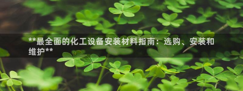 新城平台是干嘛的：**最全面的化工设备安装材料指南