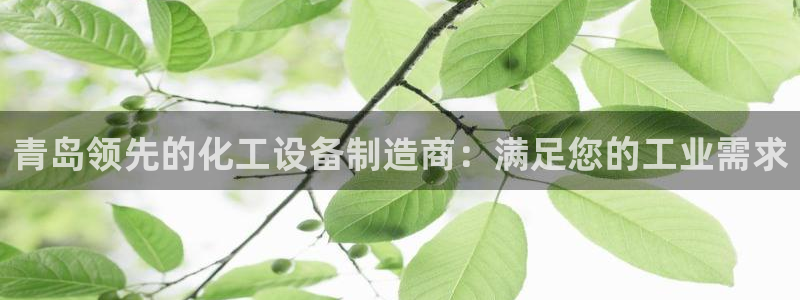 新城平台代理