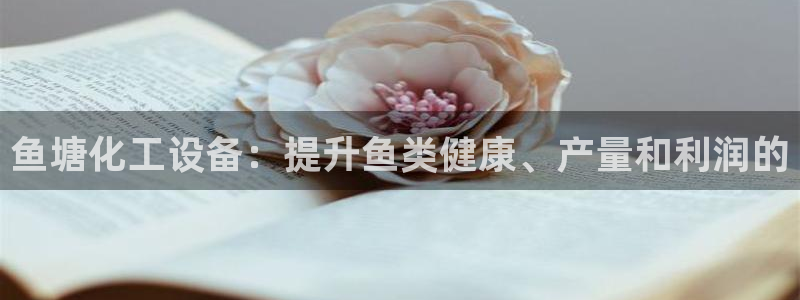 新城平台登录