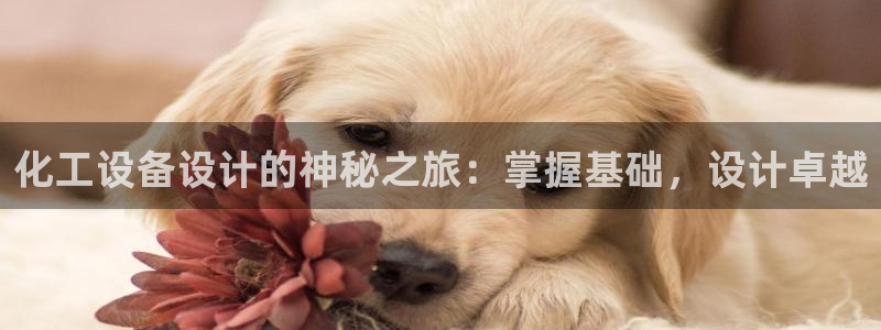 新城平台线路登录