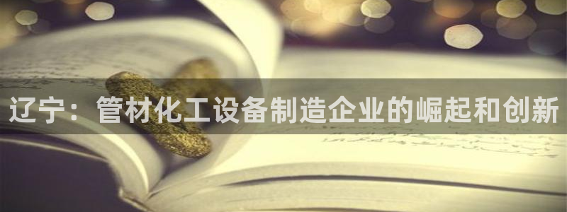 新城平台致7O777：辽宁：管材化工设备制造企业的