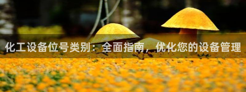 新城平台登录入口官网网址是多少
