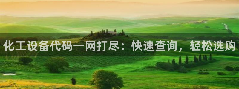 新城平台注册公司流程