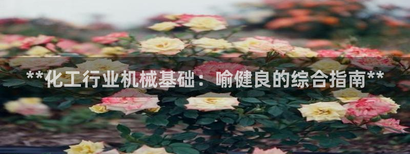 新城平台是干嘛的公司有哪些