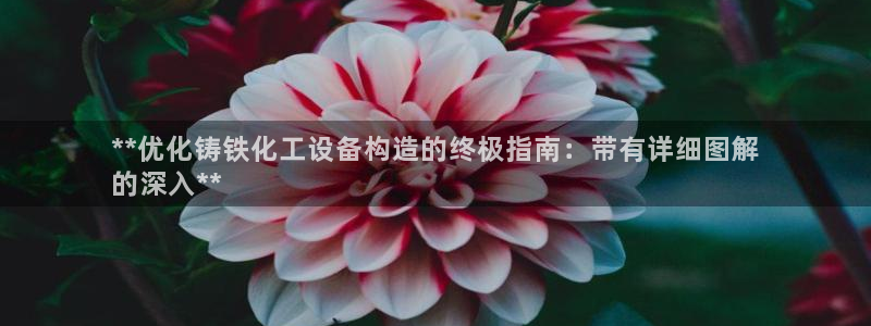 新城平台登录入口官网首页查询：**优化铸铁化工设备