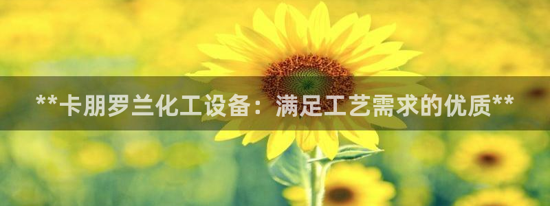 新城平台招商