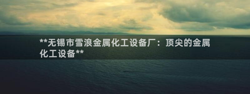 新城平台代理电话：**无锡市雪浪金属化工设备厂：顶尖的金属
