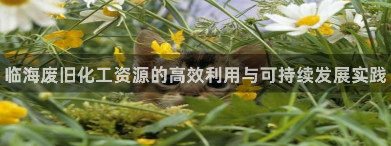 新城平台平台最新活动消息：临海废旧化工资源的高效利