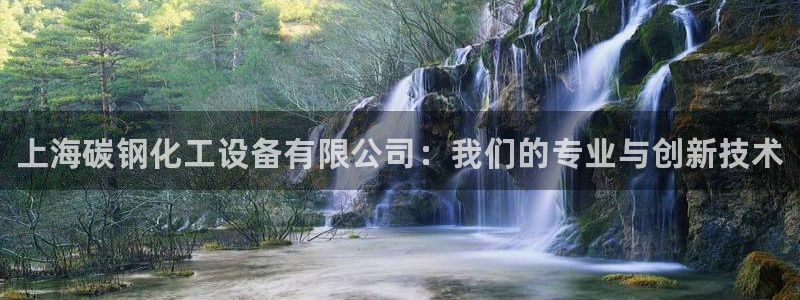 新城平台注册资金多少亿：上海碳钢化工设备有限公司：