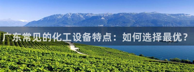 新城平台总代理是谁：广东常见的化工设备特点：如何选