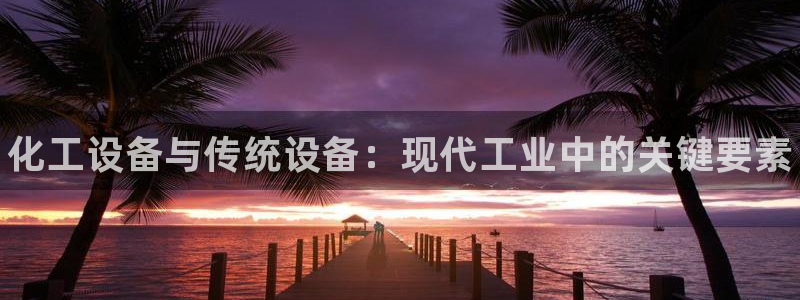 新城平台是干嘛的公司啊