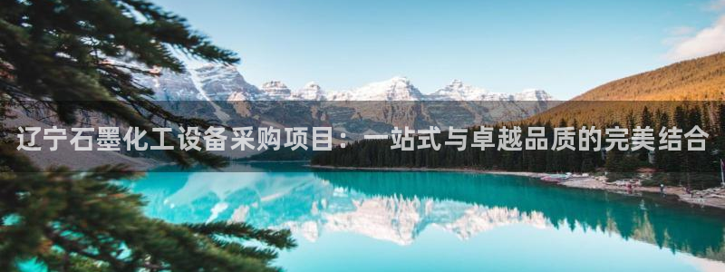 新城平台代理电话：辽宁石墨化工设备采购项目：一站式