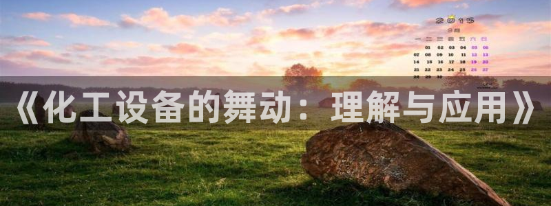 新城平台注册网址是多少：《化工设备的舞动：理解与应