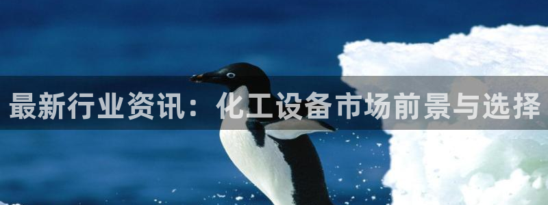 新城平台代理注册