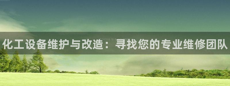 新城平台属于哪个系列：化工设备维护与改造：寻找您的