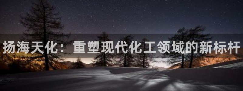 新城平台线路登录不上去怎么办呀