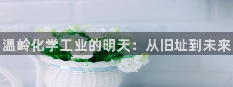 新城平台革7O777：温岭化学工业的明天：从旧址到