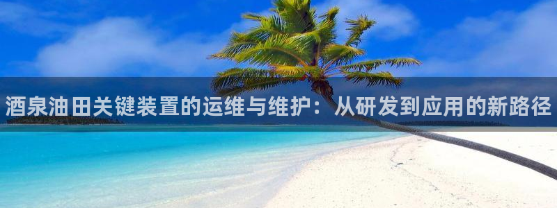 新城平台代理注册公司