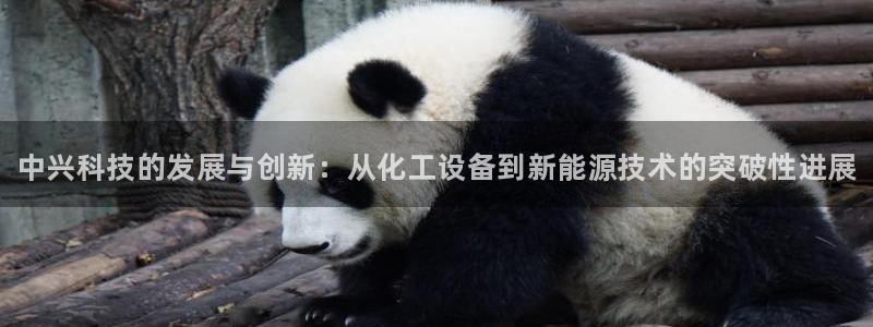 新城平台绝7O777：中兴科技的发展与创新：从化工设备到新能