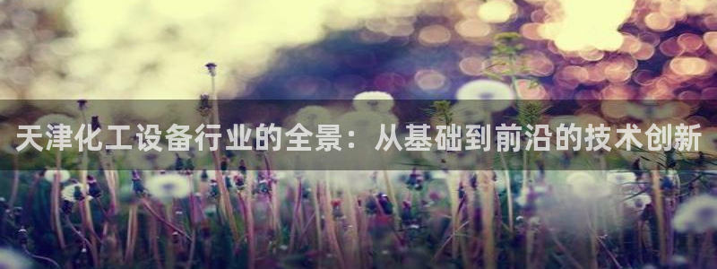 新城平台登录入口官网查询