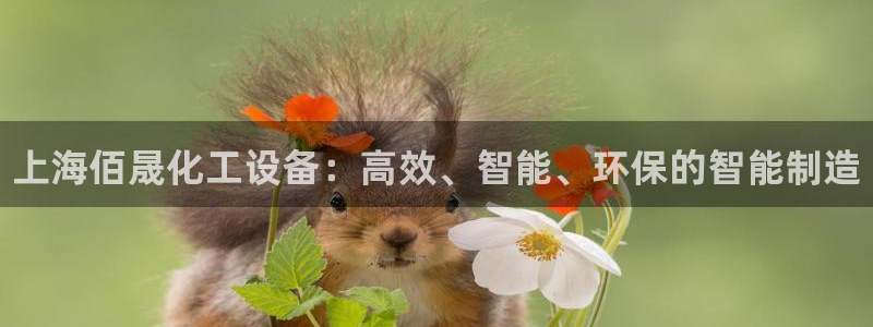 新城平台日7O777