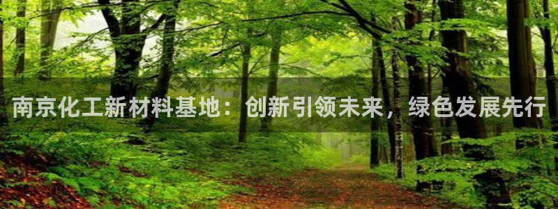 新城平台负责人